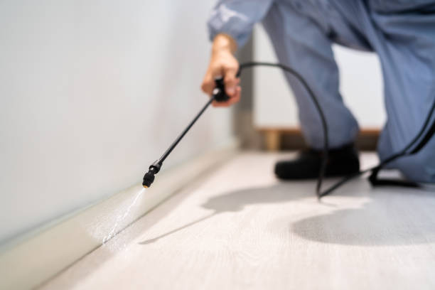 Licensed Wasp Control service in West Bay Shore, NY - Nex Pest Control