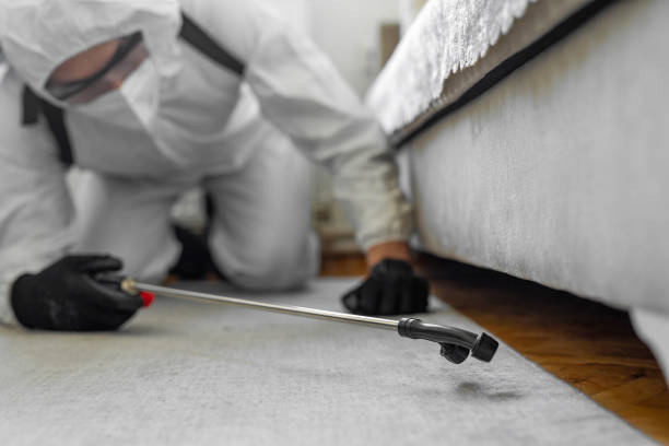 Professional Wasp Control technician working in West Bay Shore, NY
