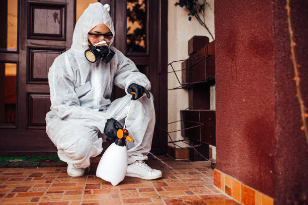 Reliable Mosquito Control contractor in West Bay Shore, NY by Nex Pest Control