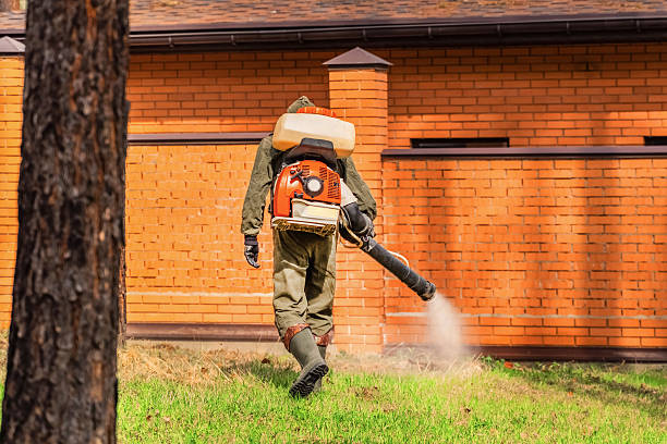 Trusted Ant Control service in West Bay Shore, NY - Nex Pest Control